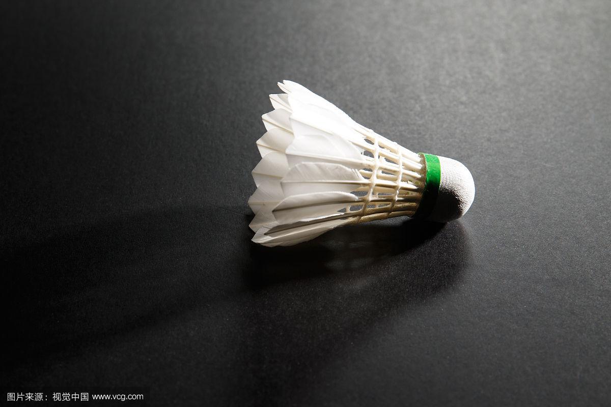 生气旺盛的 生气旺盛的