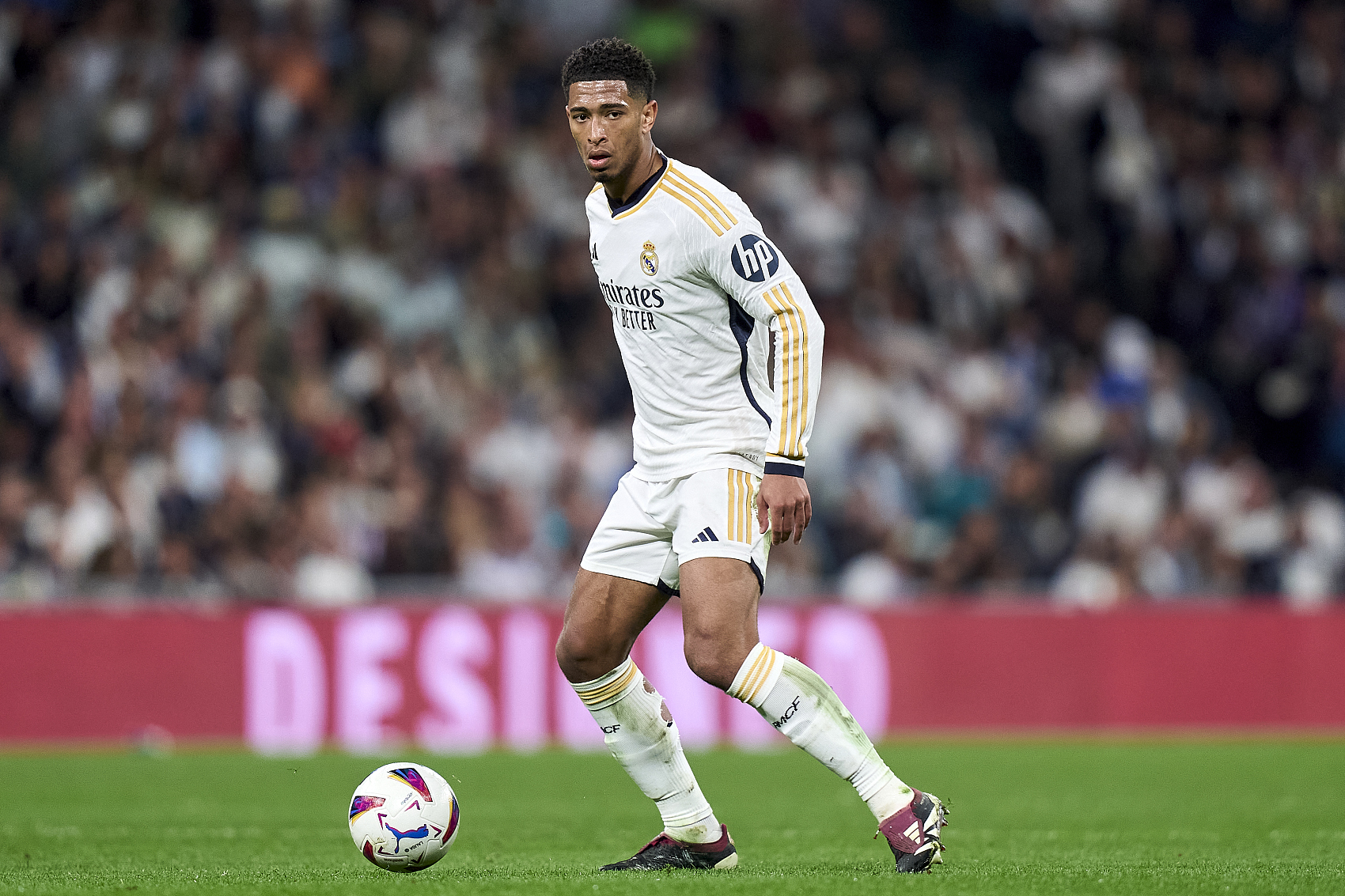 年轻血液 年轻血液